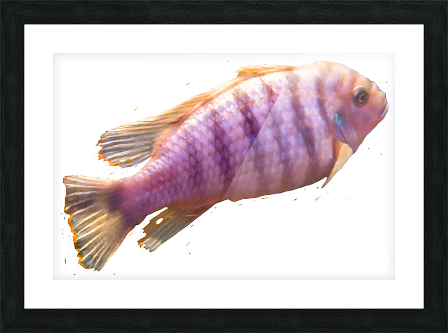 PurpleFish Picture Frame print