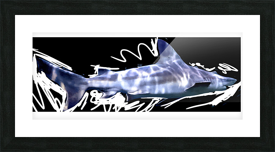 Shark1 Picture Frame print