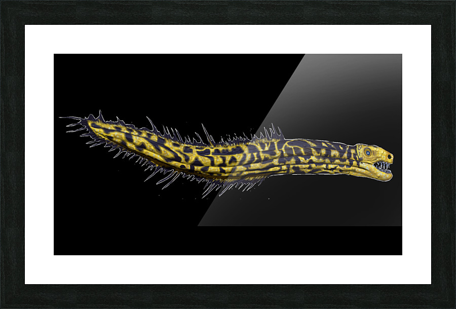 YellowSerpent trans3 update Picture Frame print