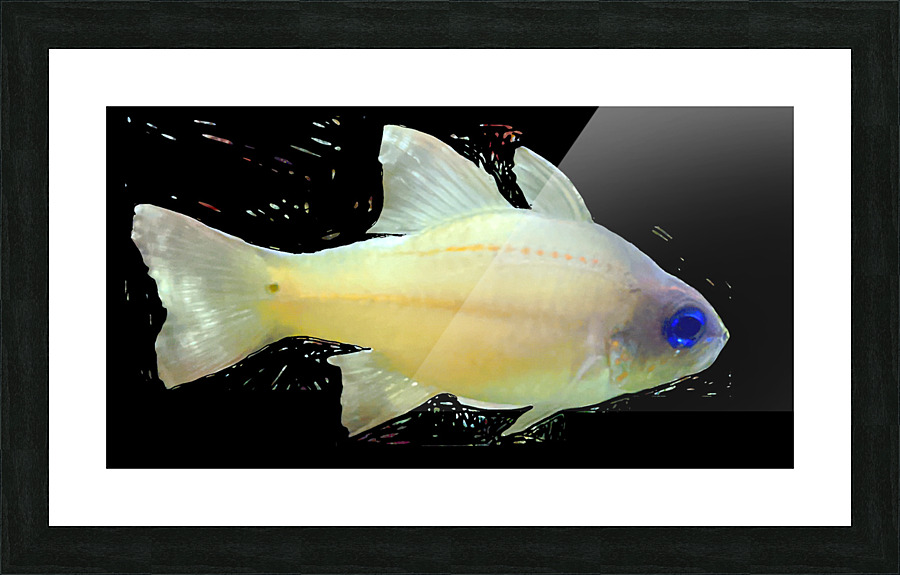 YellowFishCharacter2 Picture Frame print