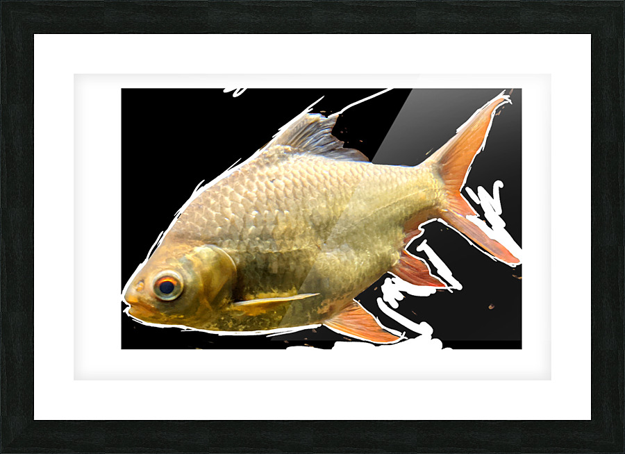 YellowFishCharacter3 Picture Frame print