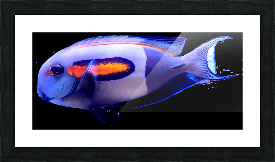 WhiteFish Picture Frame print