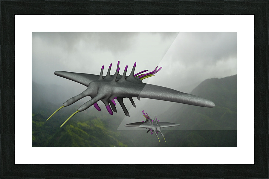 AlphaCreature Picture Frame print