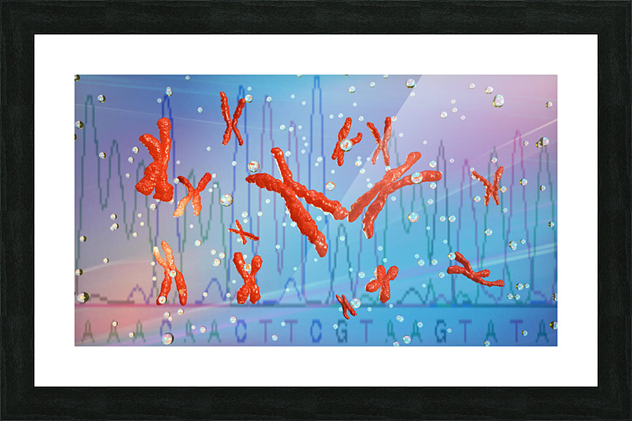 Chromosomes Picture Frame print