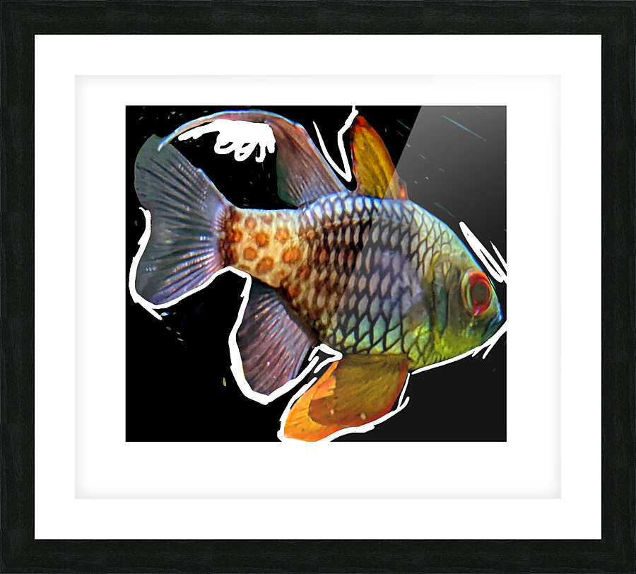ColoredFish Picture Frame print