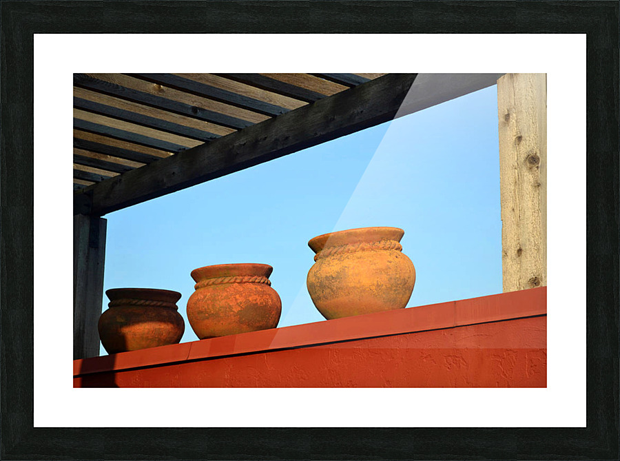 DecorativeVases2 Picture Frame print