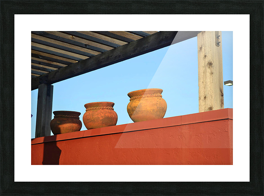 DecorativeVases Picture Frame print