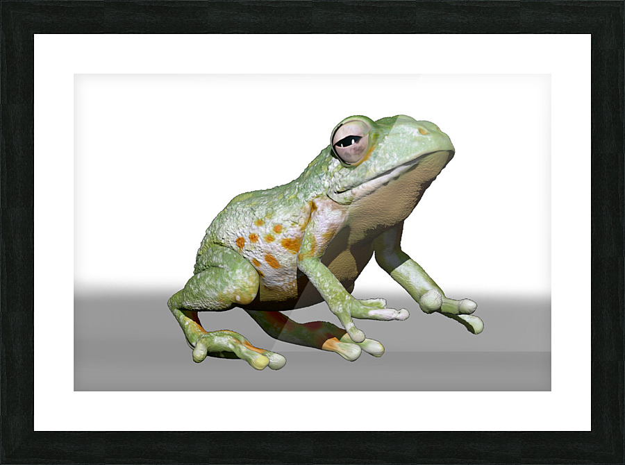 kelly johnson frog2 Picture Frame print