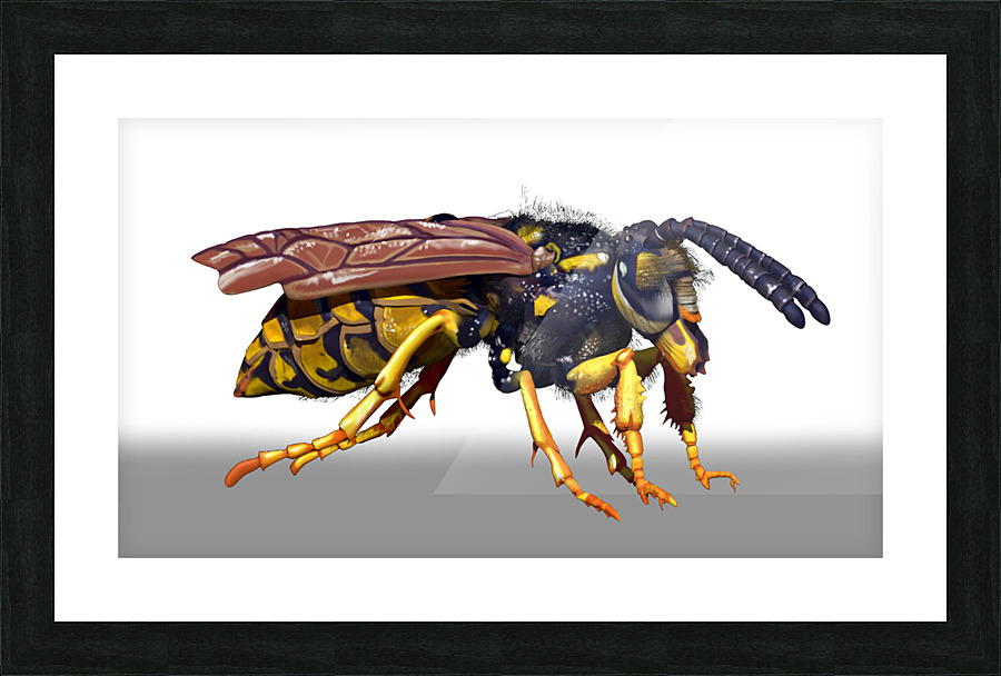 kelly johnson wasp render3 Picture Frame print