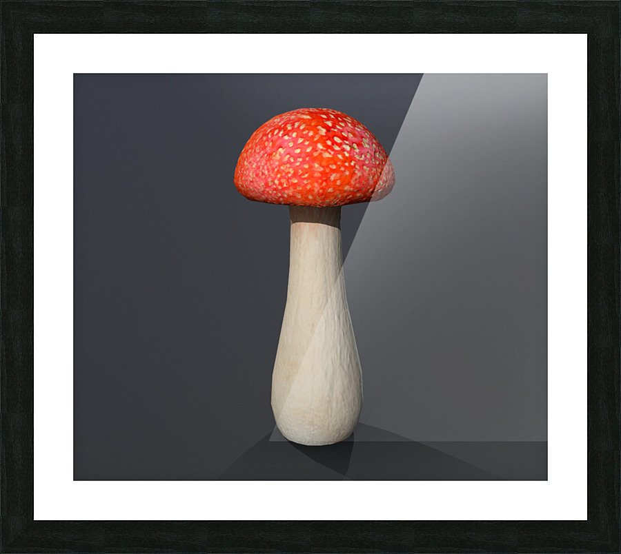Mushroom1 Picture Frame print