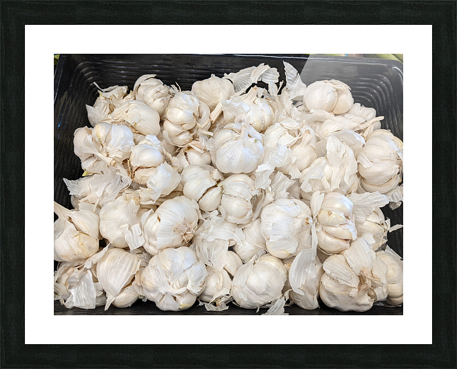 Garlic Picture Frame print