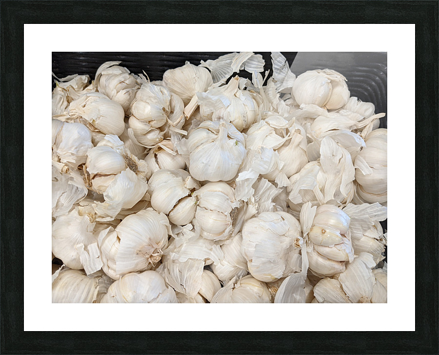 Garlic Picture Frame print