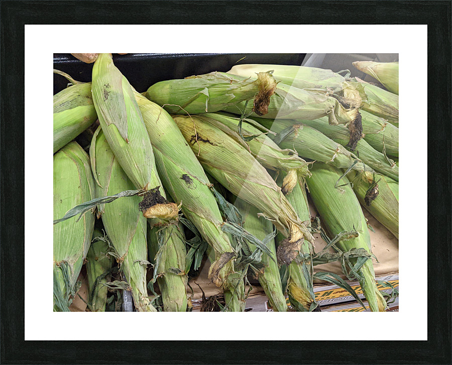 Corn Picture Frame print