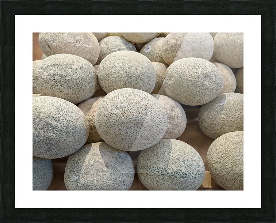 Cantaloupe Picture Frame print