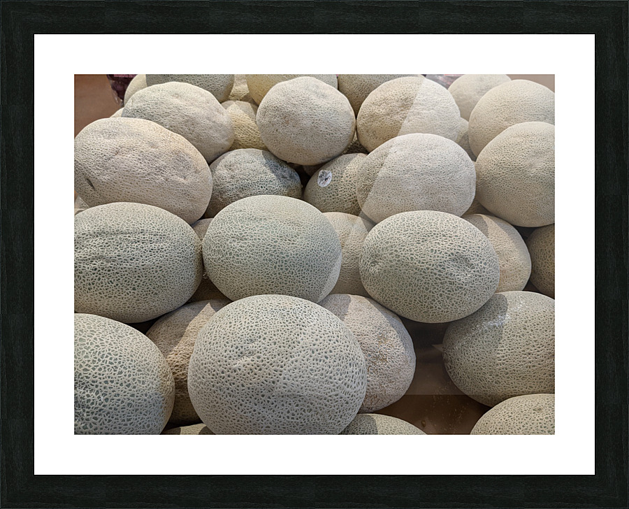Cantaloupe Picture Frame print