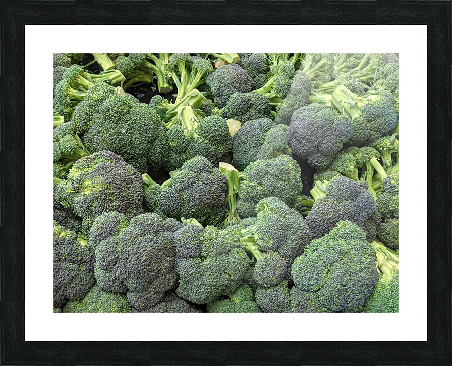 Brocolli Picture Frame print