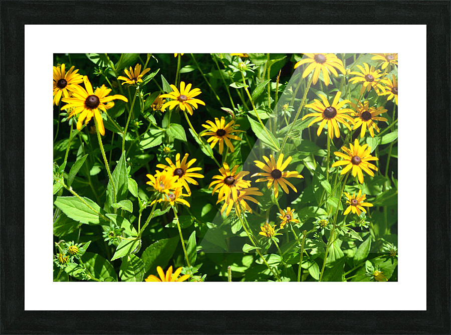Yellow Flowers Picture Frame print