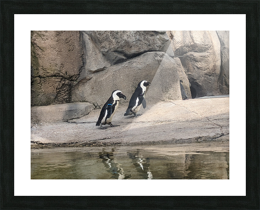 Penguin Picture Frame print