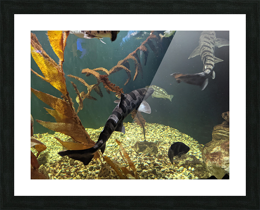 Ocean Picture Frame print