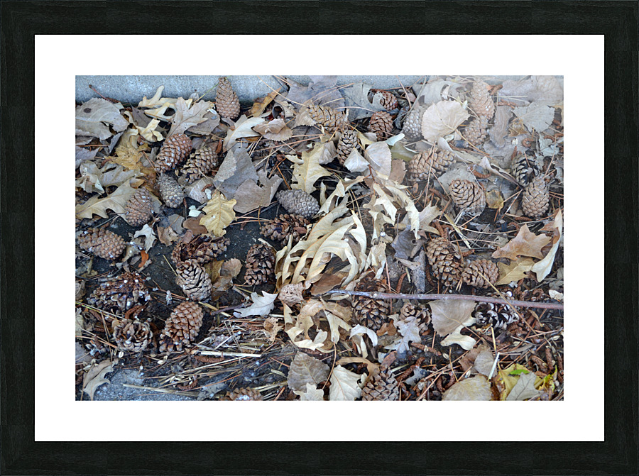 Soil Products Picture Frame print