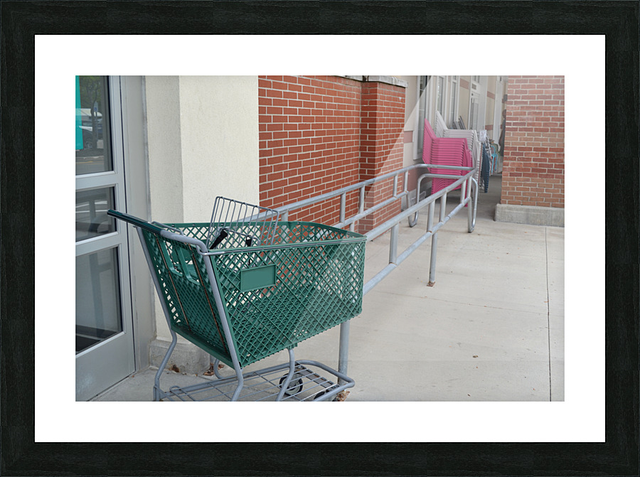 Shopping Carts Picture Frame print