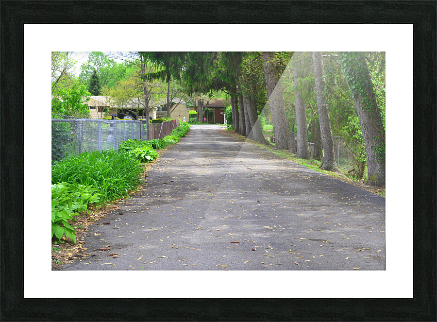 JK06 Picture Frame print
