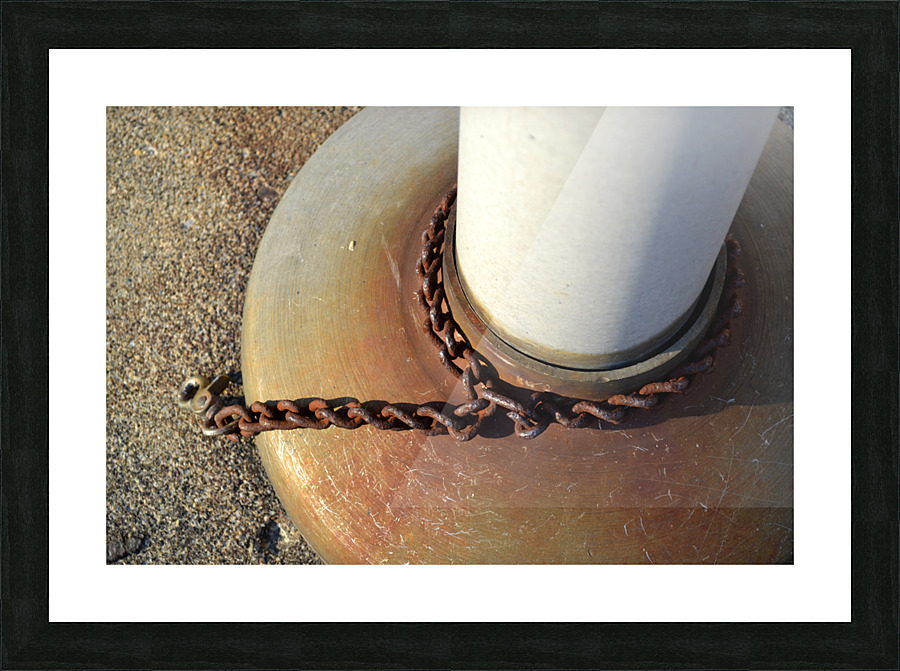 DSC 0069 Picture Frame print