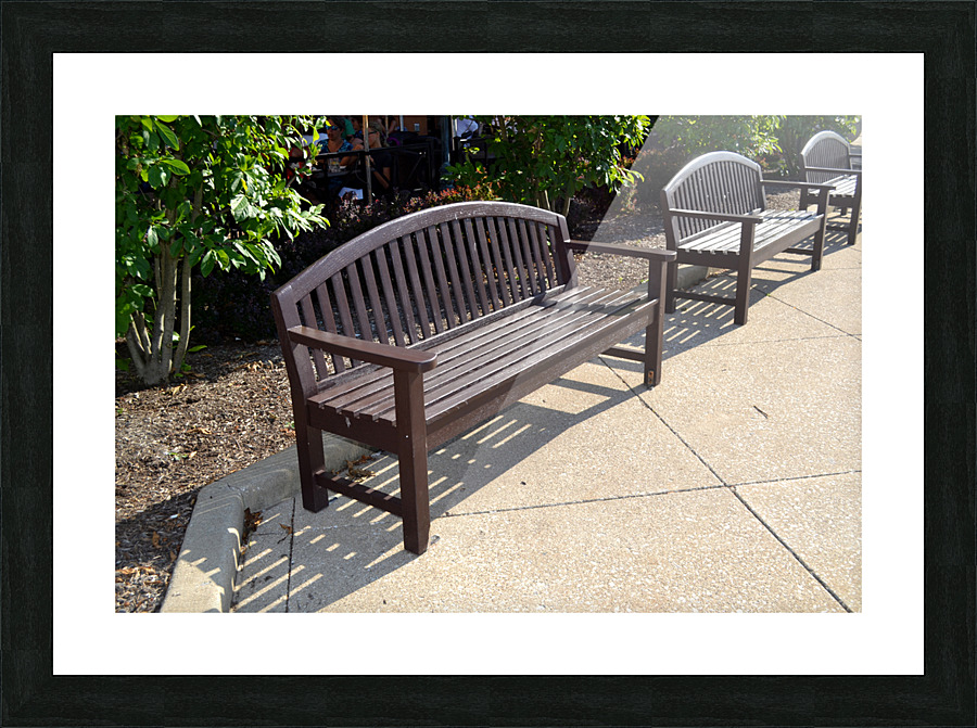 DSC 0074 Picture Frame print