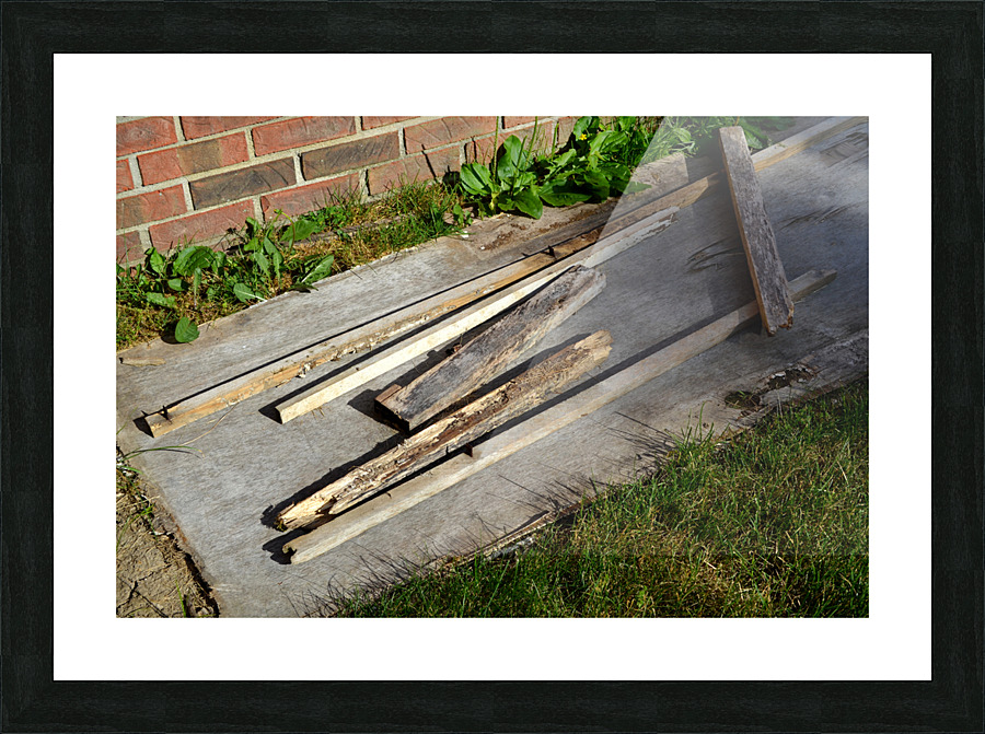 DSC 0115 Picture Frame print