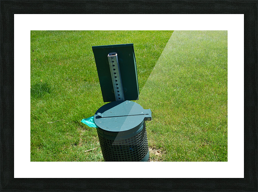 DSC 0499 Picture Frame print