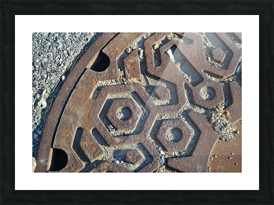 DSC 0295 Picture Frame print