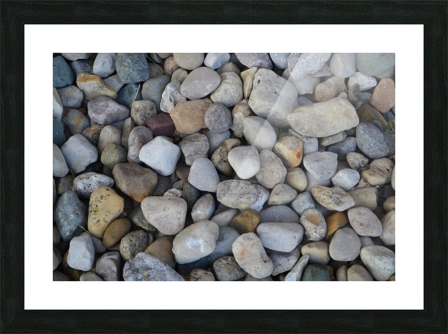 DSC 0140 Picture Frame print