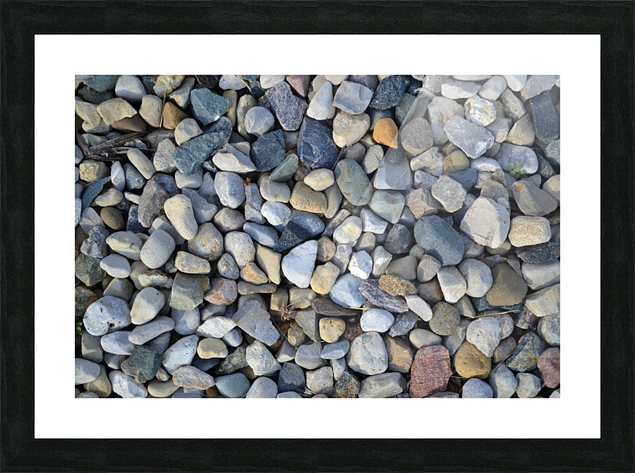 DSC 0204 Picture Frame print