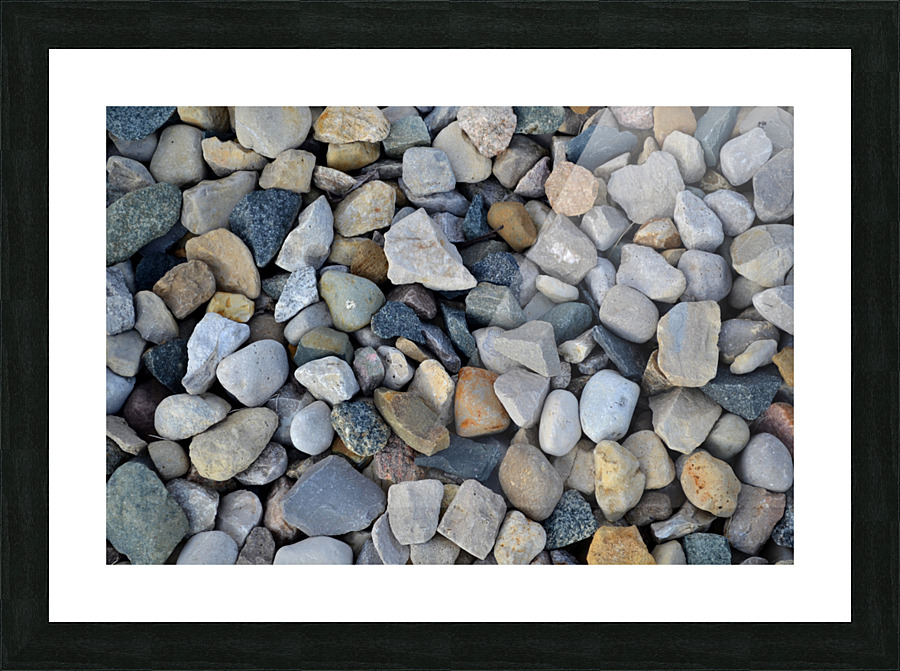 DSC 0207 Picture Frame print