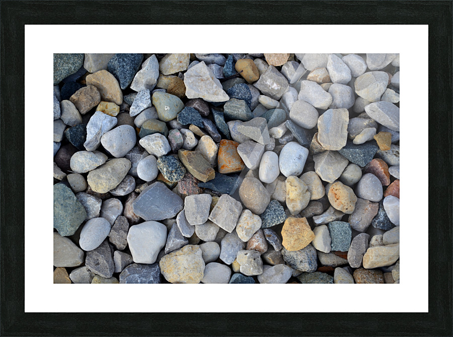 DSC 0206 Picture Frame print