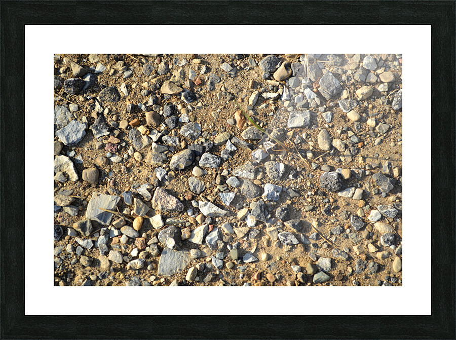 DSC 0160 Picture Frame print