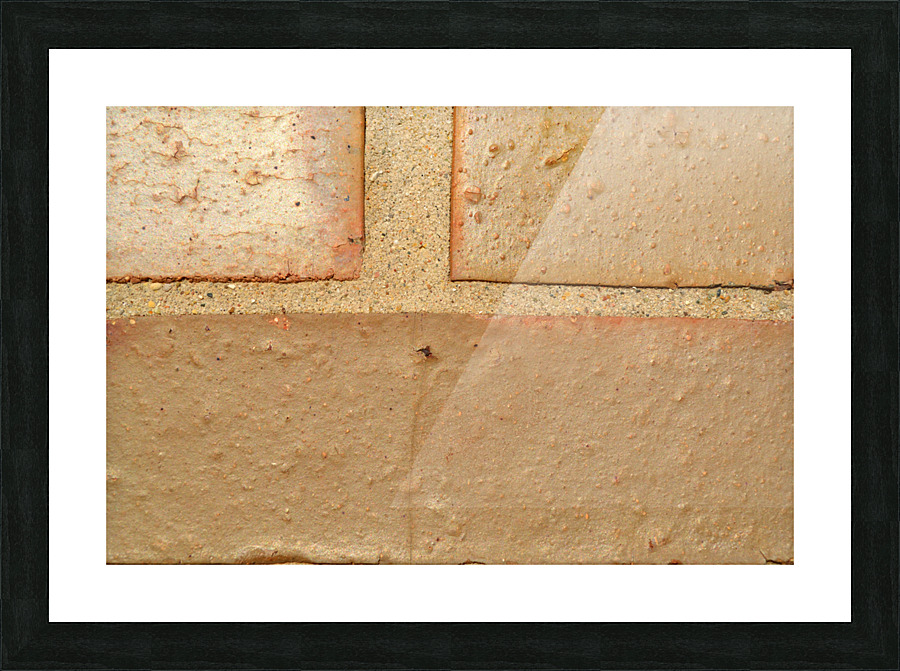 DSC 0135 Picture Frame print