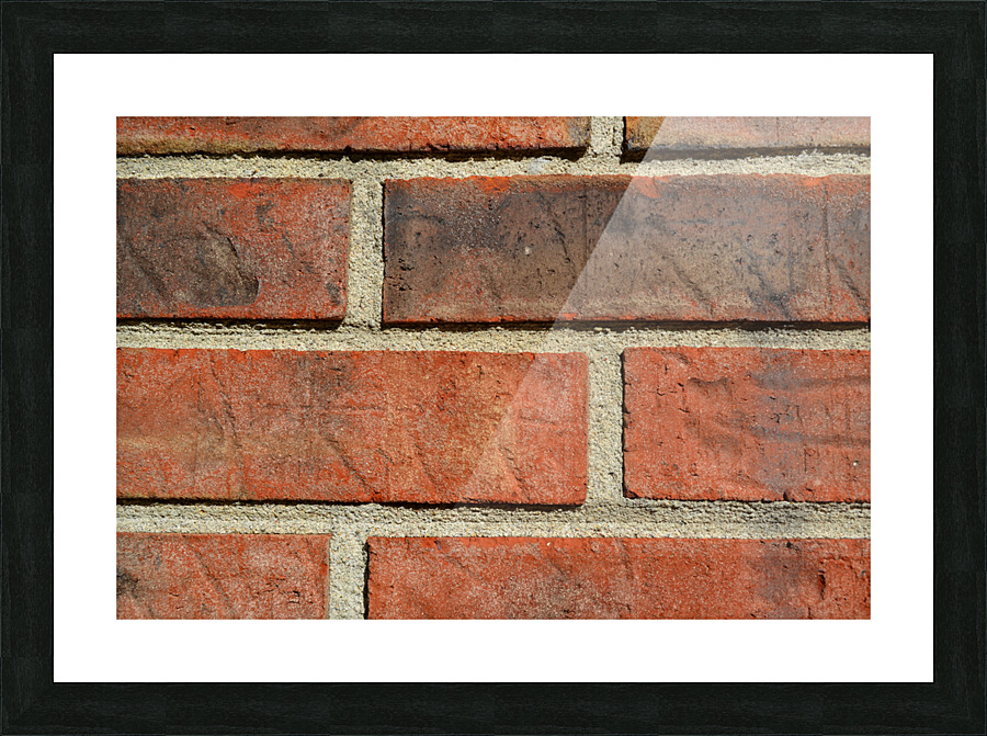 DSC 0107 Picture Frame print