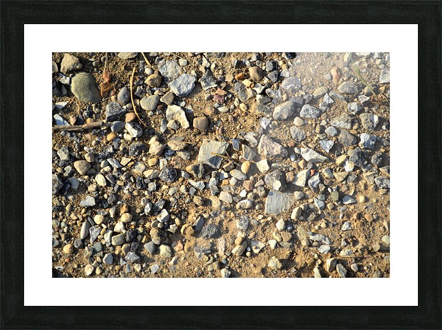 DSC 0159 Picture Frame print