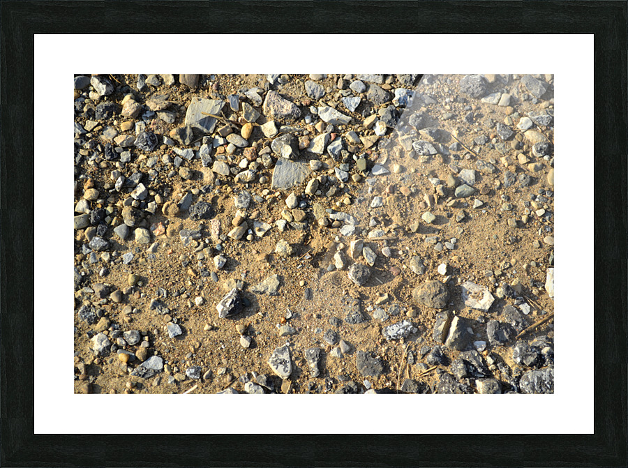 DSC 0158 Picture Frame print