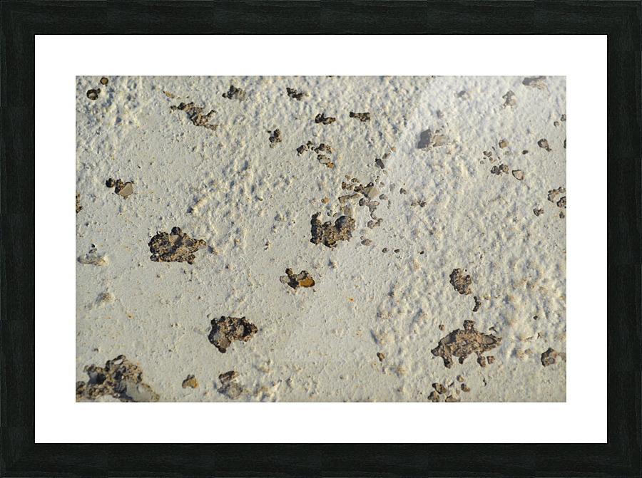 DSC 0297 Picture Frame print
