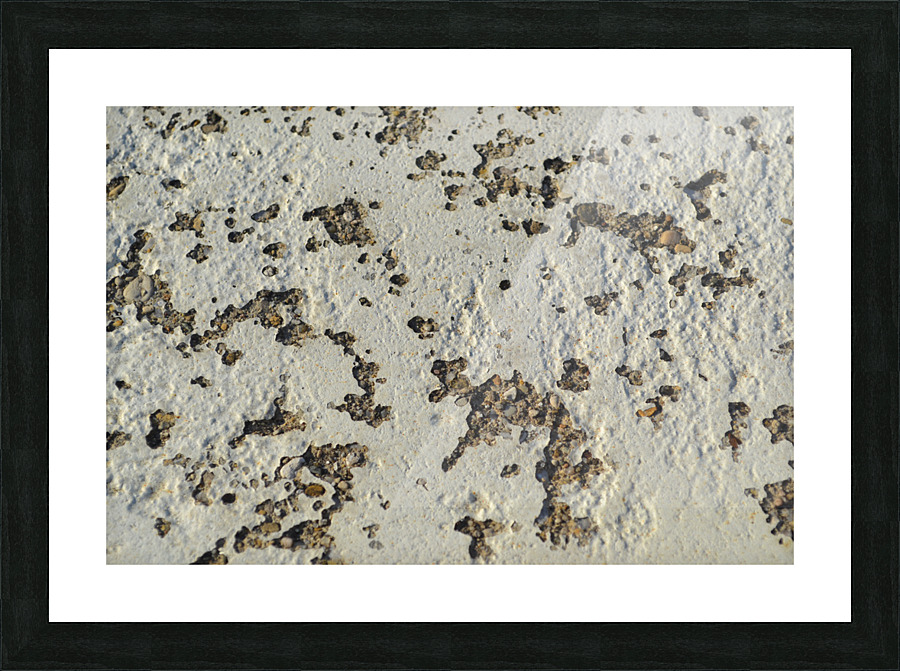 DSC 0300 Picture Frame print