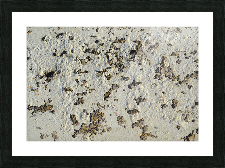 DSC 0298 Picture Frame print