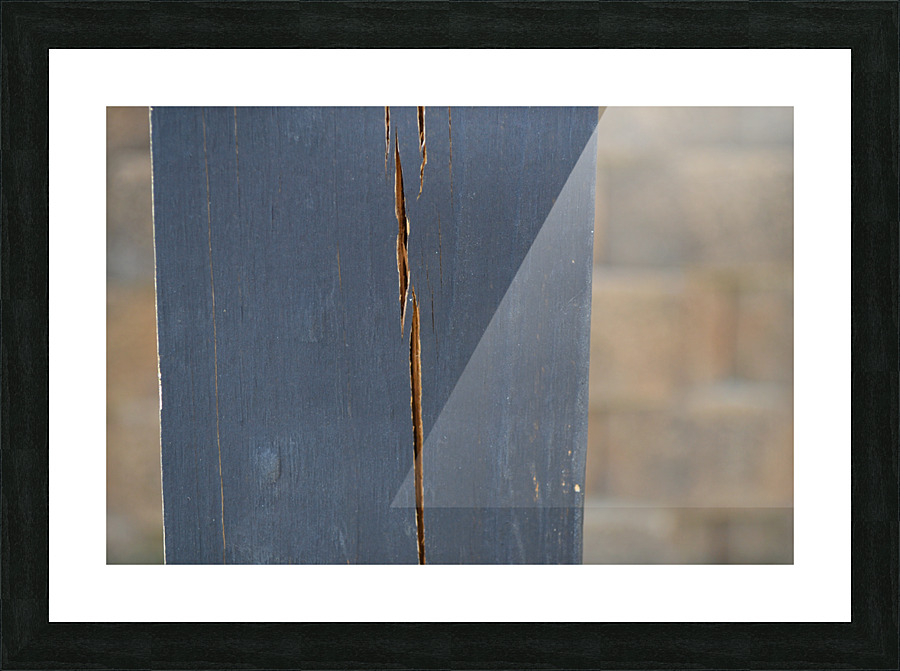 DSC 0289 Picture Frame print