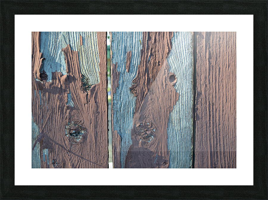 DSC 0323 Picture Frame print