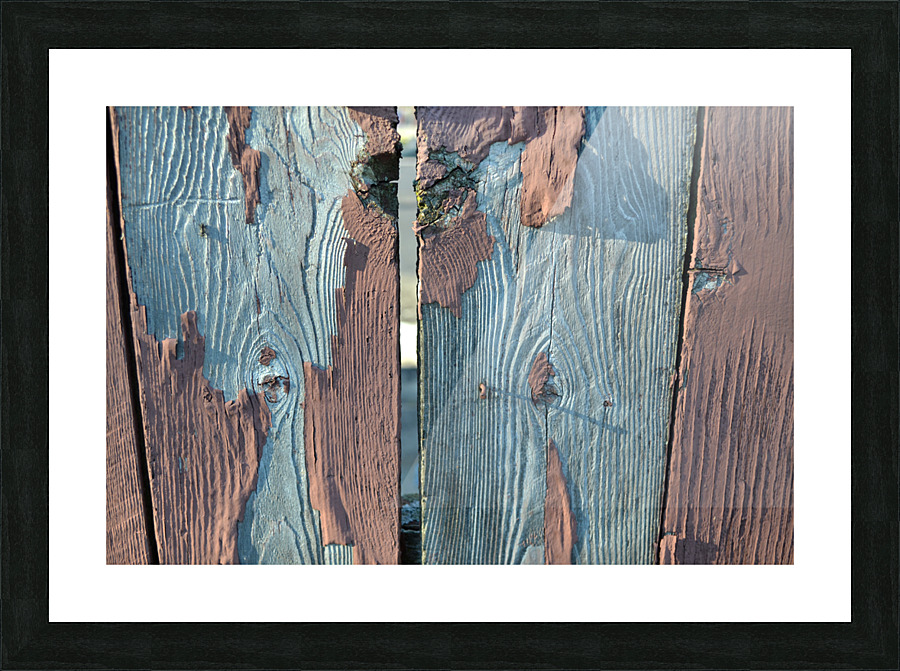 DSC 0327 Picture Frame print