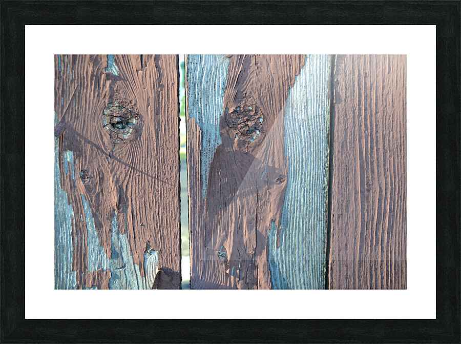 DSC 0324 Picture Frame print