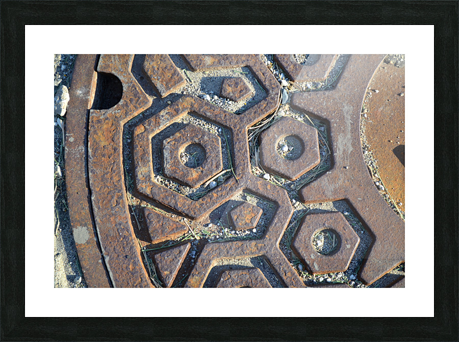 DSC 0293 Picture Frame print