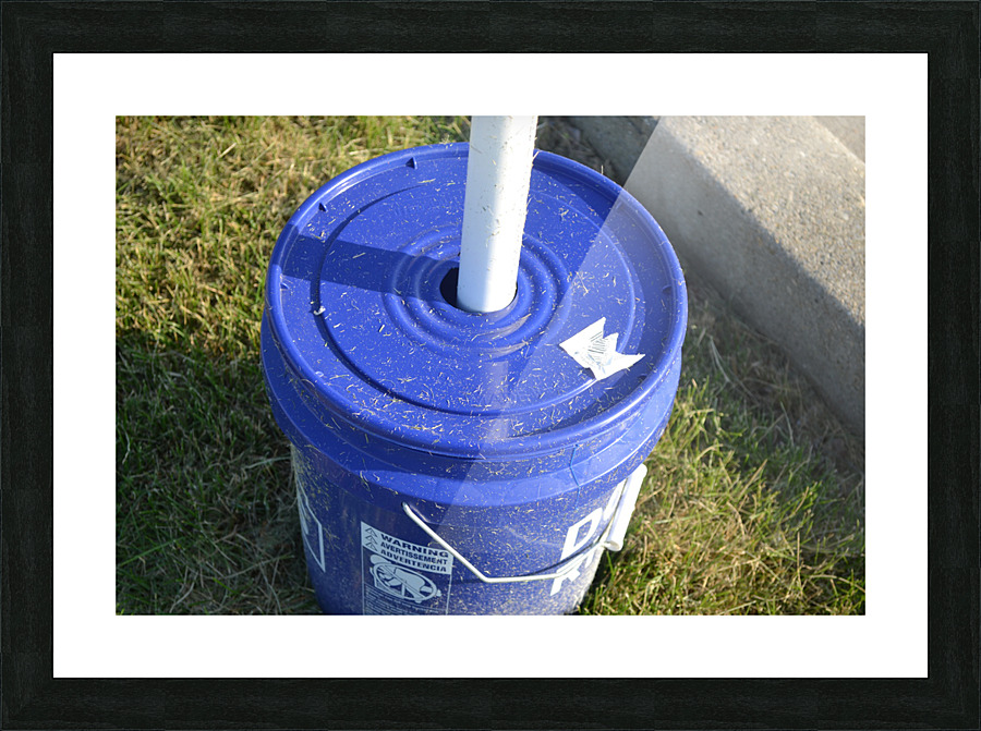 DSC 0198 Picture Frame print