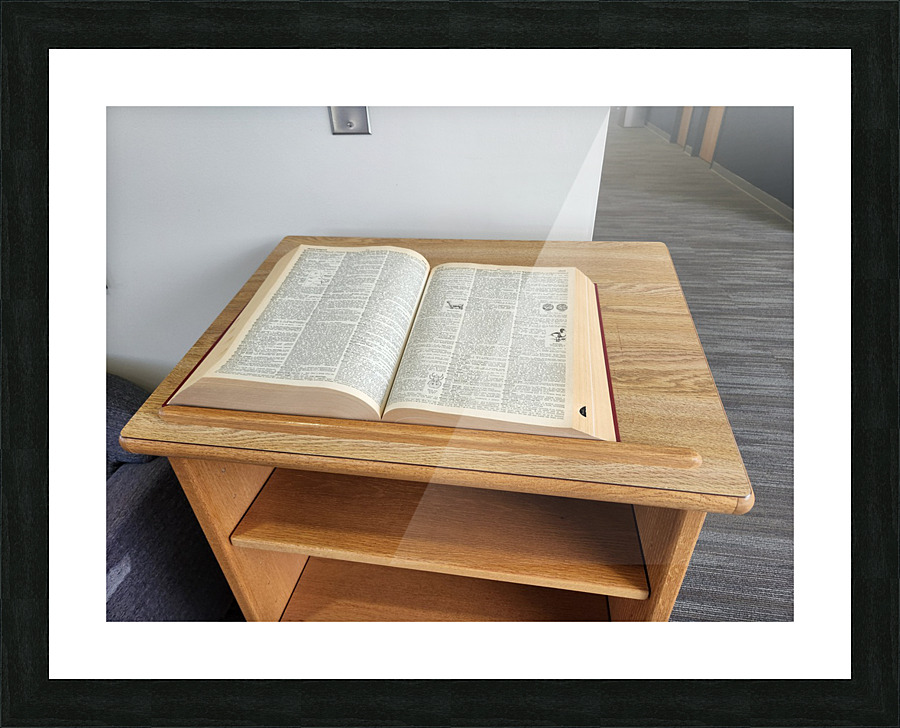 20220628 153540 Picture Frame print